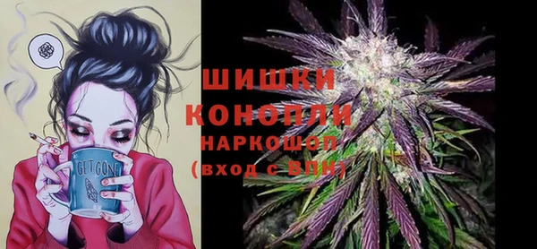 дживик Магас